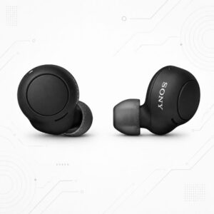 Sony WF-C500 Truly Wireless Bluetooth Earbuds with 20Hrs Battery, True Wireless Earbuds with Mic for Phone Calls, Quick Charge, Fast Pair, 360 Reality Audio, Upscale Music - DSEE (2022 Model) - Black